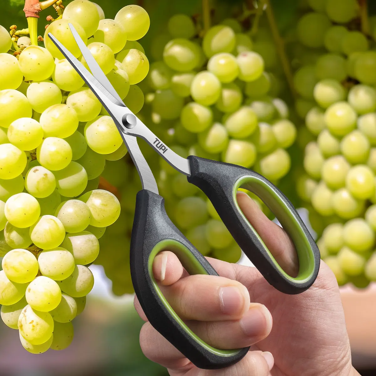 Professional Gardening Scissors & Pruning Shears, Stainless Steel Gardening Shears for Plant, Flower, Grafting, Garden, Home Use