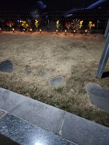 구매후기