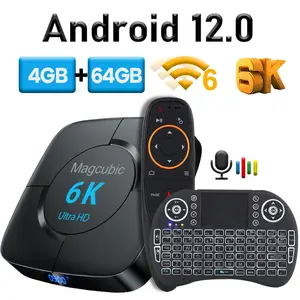 Android 12.0 TV BOX 6K Allwinner H618 Voice Assistant 3D 4K 1080P Video TV  receiver Wifi 2.4G&5.8G TV Box Set top Box