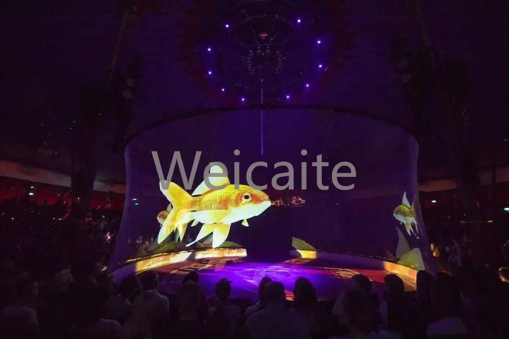 

3D Holographic Mesh Projection Screen for Hologram Exhibition ,circus Display ,Wedding