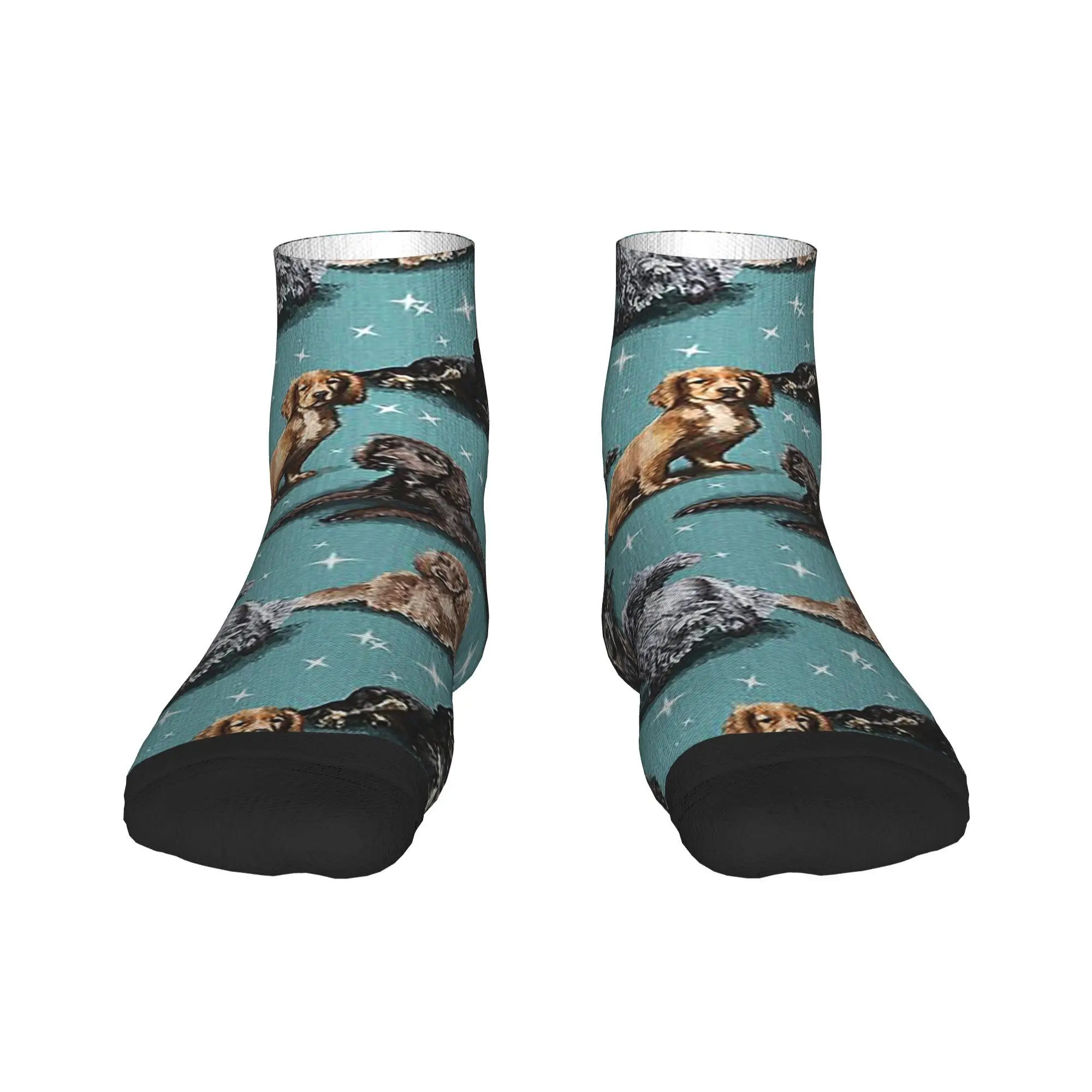 

The Cocker Spaniel Socks Harajuku High Quality Stockings All Season Socks Accessories for Man's Woman's Christmas Gifts