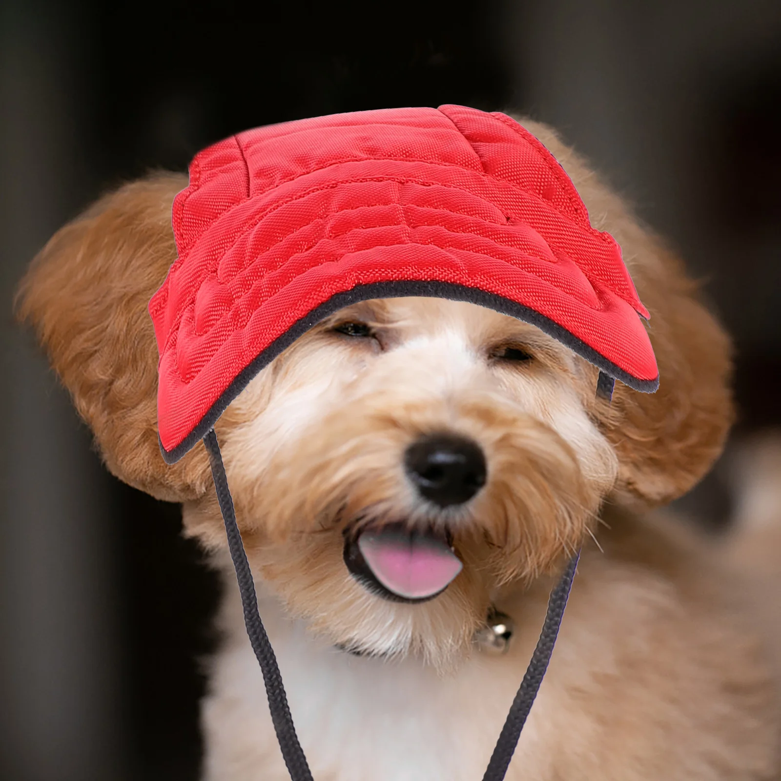 

4 Pcs Pet Hat Baseball Cap with Ear Holes Puppy Hats for Dogs Outdoor Cloth Parent-child