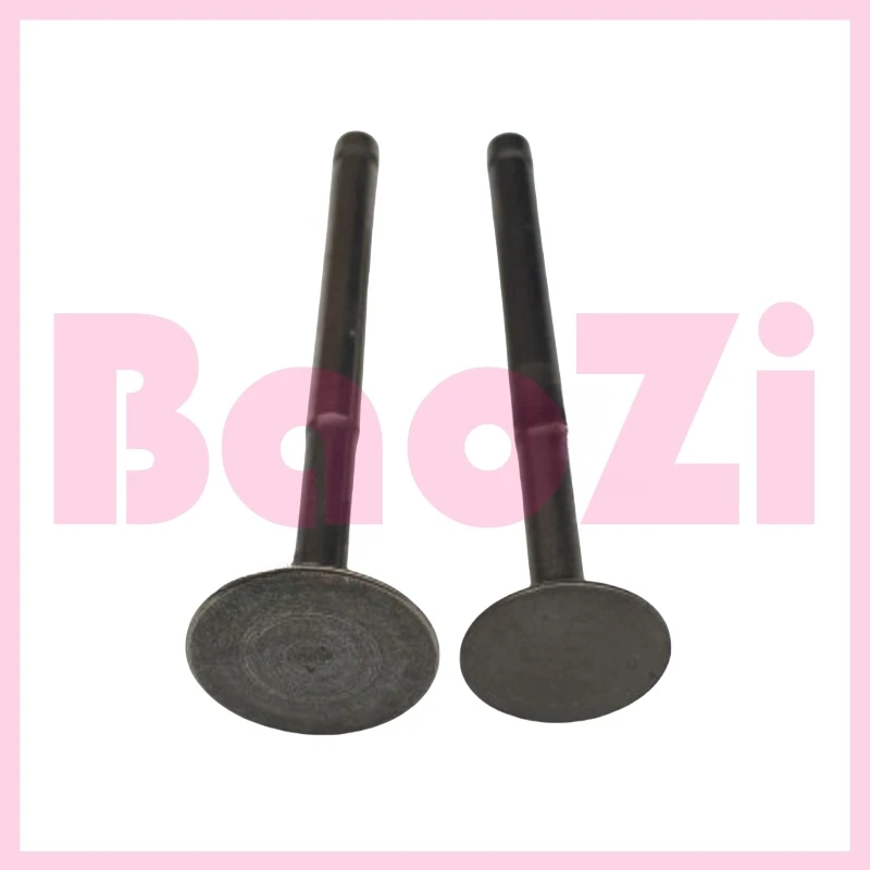 Intake and Exhaust Valve / Oil Seal for Zonsen Piaggio Fly50 Zip50