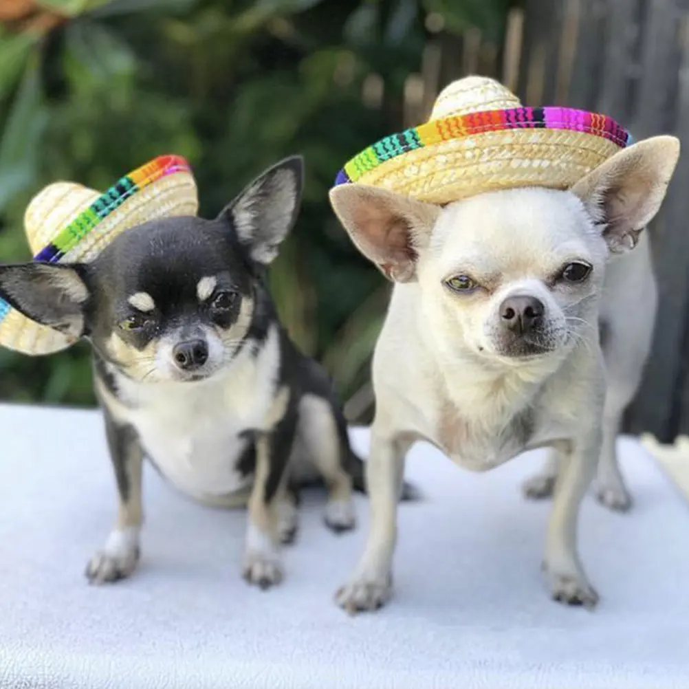 

3pcs Pet Mexican Hats for Dogs Cats Wear resistant Decorative Straw Sombreros Birthday Party Small Dog Puppy Accessories Photo
