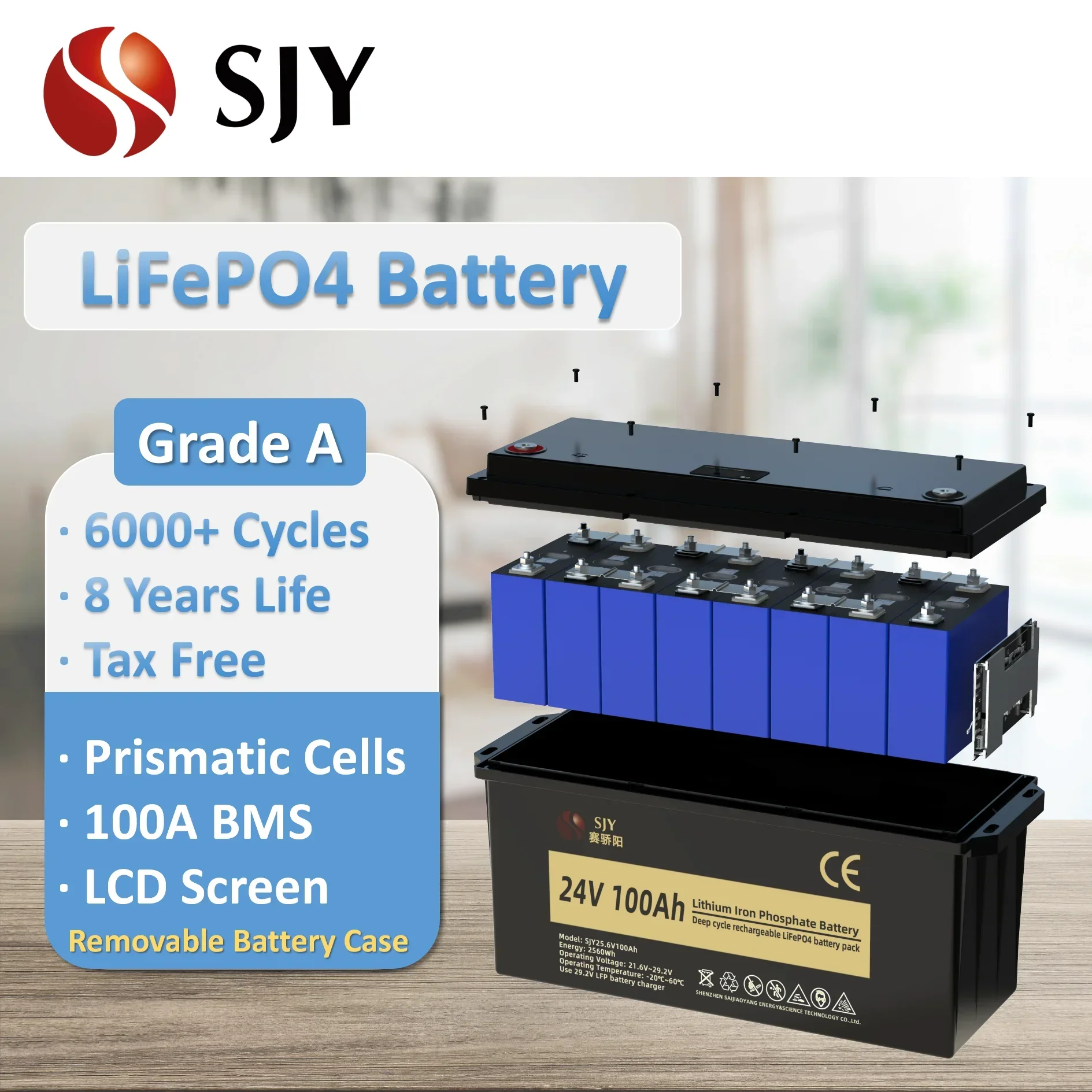 Lithium Battery Pack 12V 24V 48V 100Ah 200Ah with LCD/Charger for Boat Car Camper RV Wheelchair UPS Solar System