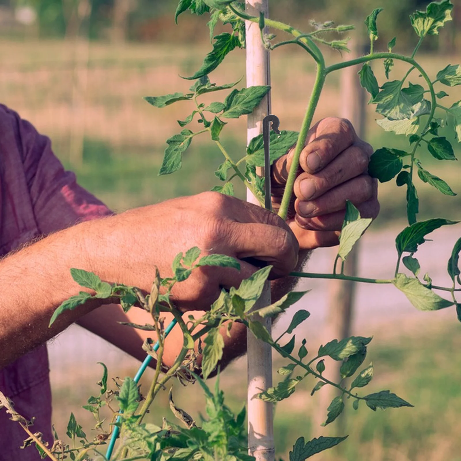 

100Pcs Plant Fixing Clips Sturdy Plastic Stem Support for Grape Vine and Climbing Plants Garden Supply Bending Clip