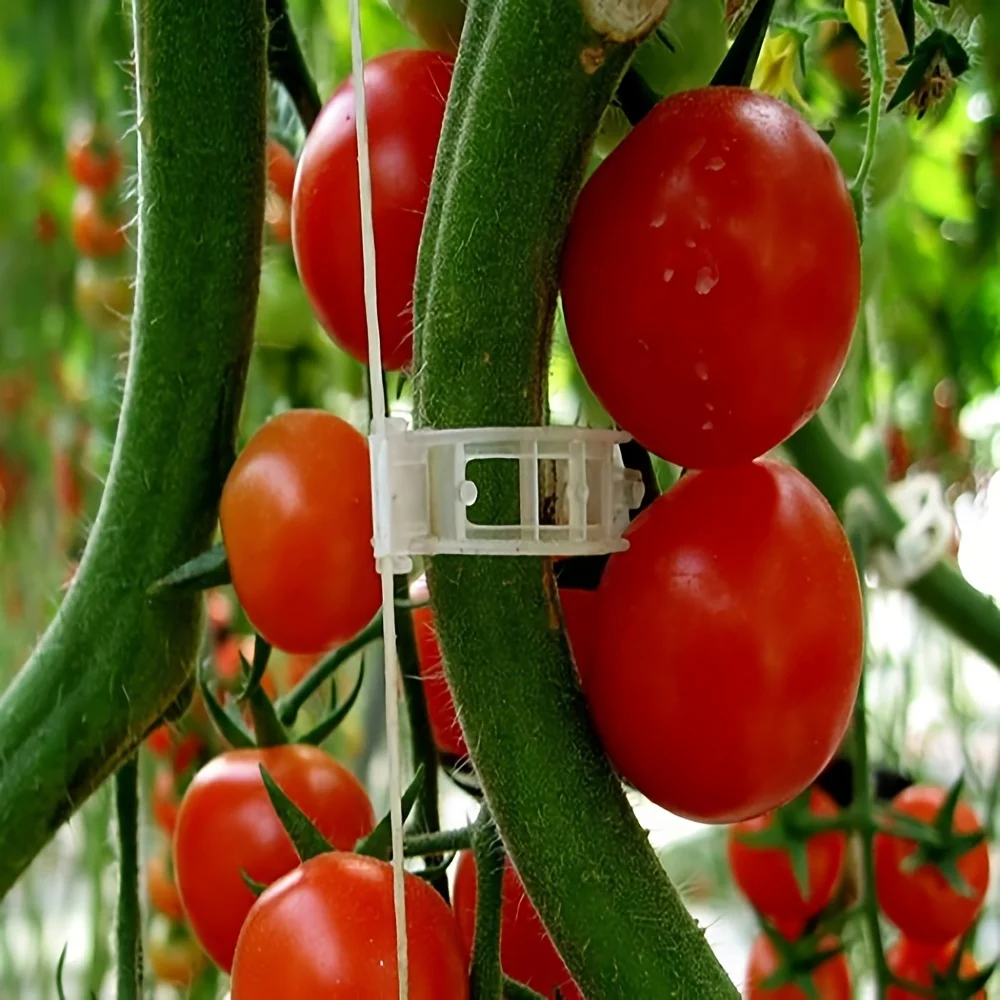 [Plastic Tomato Clips] 14pcs Plastic Tomato Clips - Plant Support Clips, Trellis Clips for Grape Vine, Tomato Vine