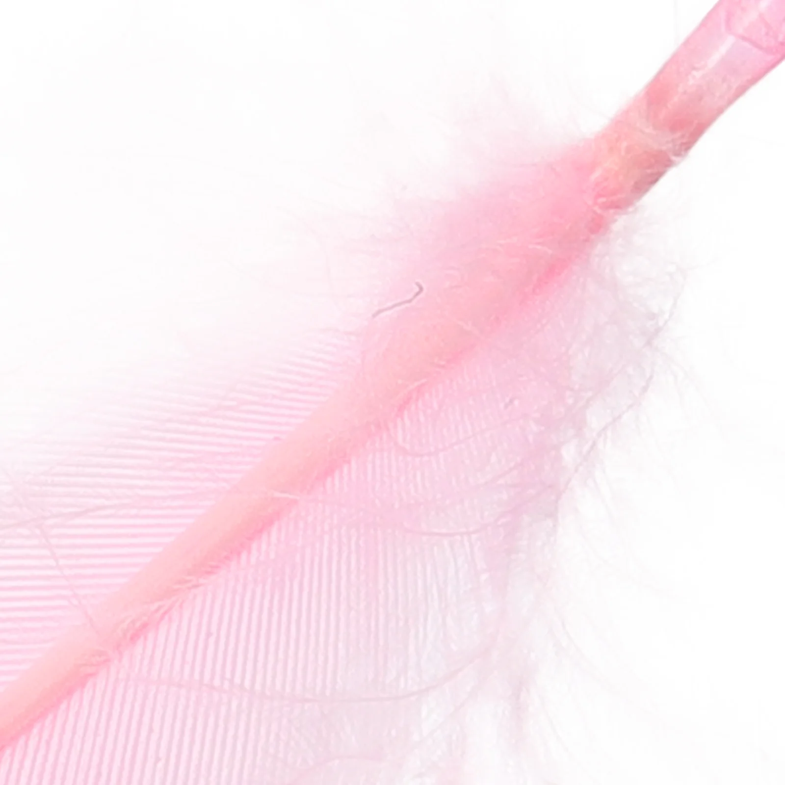 

15Pcs Plume Props Exquisite Small Decorative Plumes Bulk for Jewelry Display Photo Prop Ornament Vanity Decor