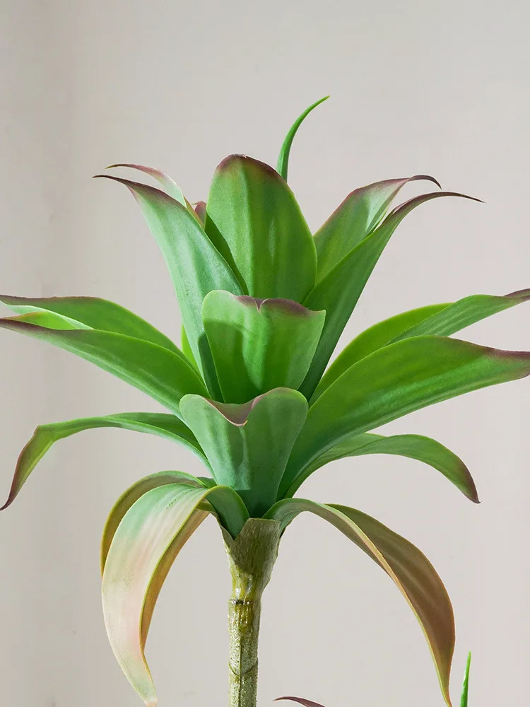 

Indoor, large, simulated, green plants, water lilies, fake plants, potted plants, living room, floor, window