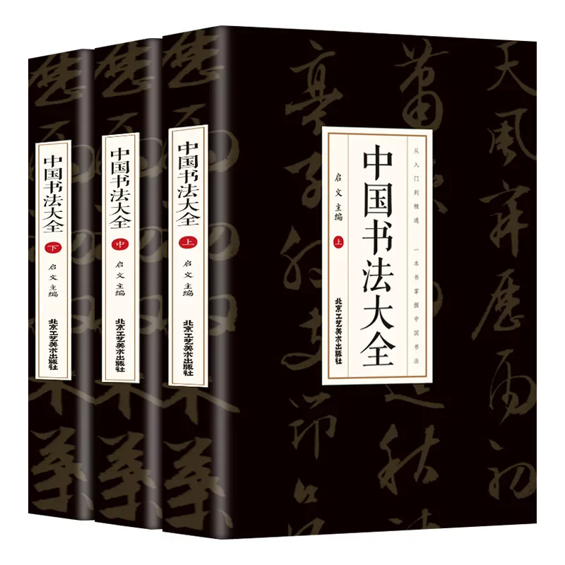 3pcs/set Complete Collection of Chinese Calligraphy, Basic Knowledge of Calligraphy Art, Calligraphy Script Tutorial