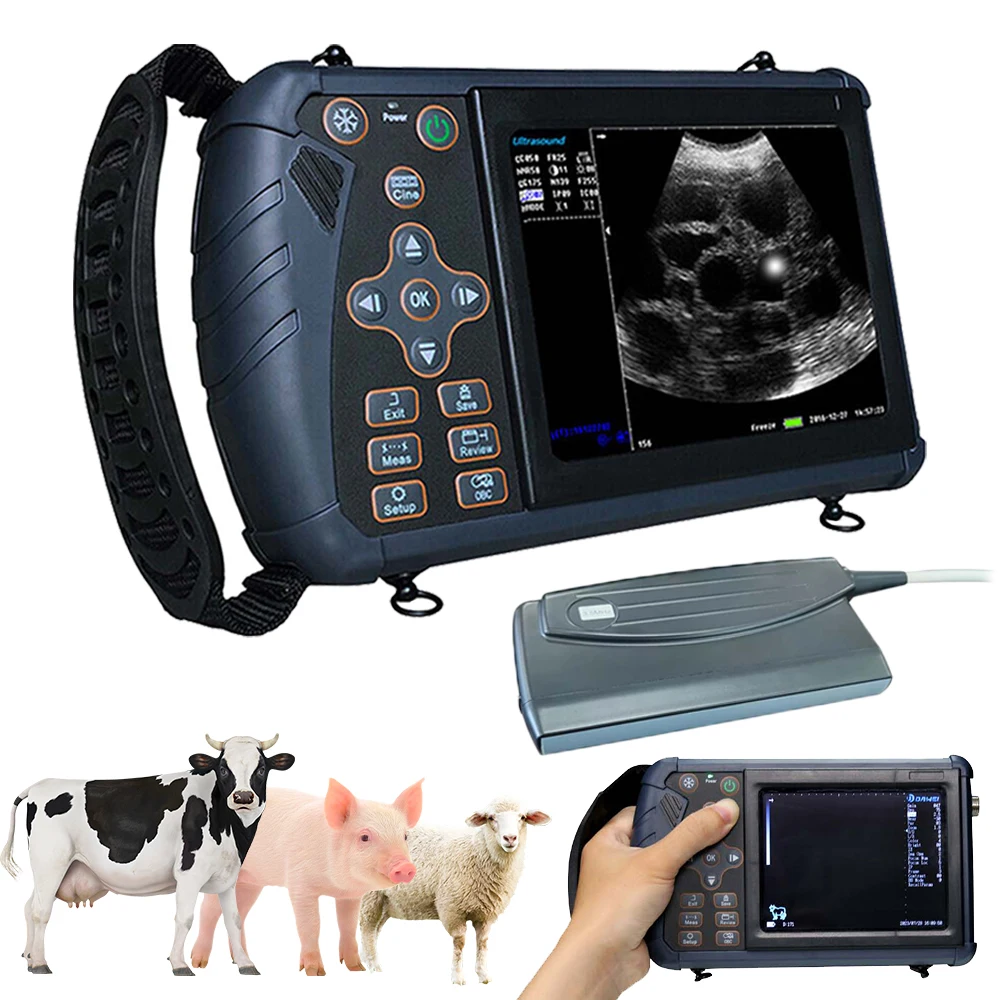 

Portable Veterinary Ultrasound Machine Backfat Thickness Vet B-Ultra Scanner Waterproof 3.5MHz Probe for Pig Cattle Sheep DAWEI