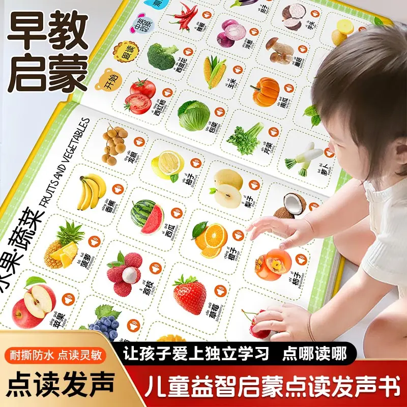 

Learning Chinese Character Audiobook, 2300 Words, Literacy, Pinyin & Language Enlightenment, Parent-child Interaction