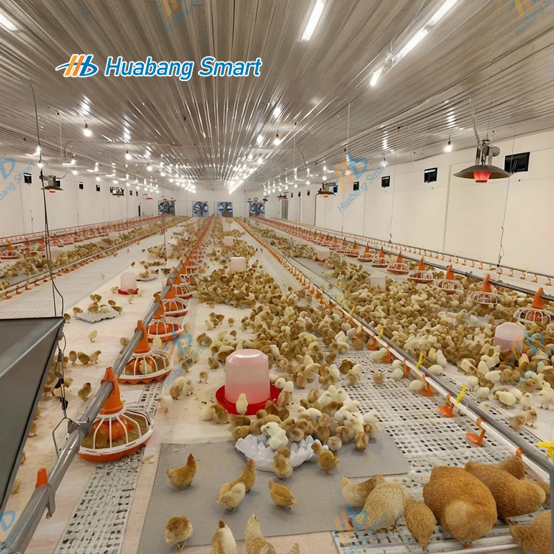 نظام مغذيات معدات تغذية الدواجن الأوتوماتيكية المعلقة وشرب الماء مع أكواب المشروبات