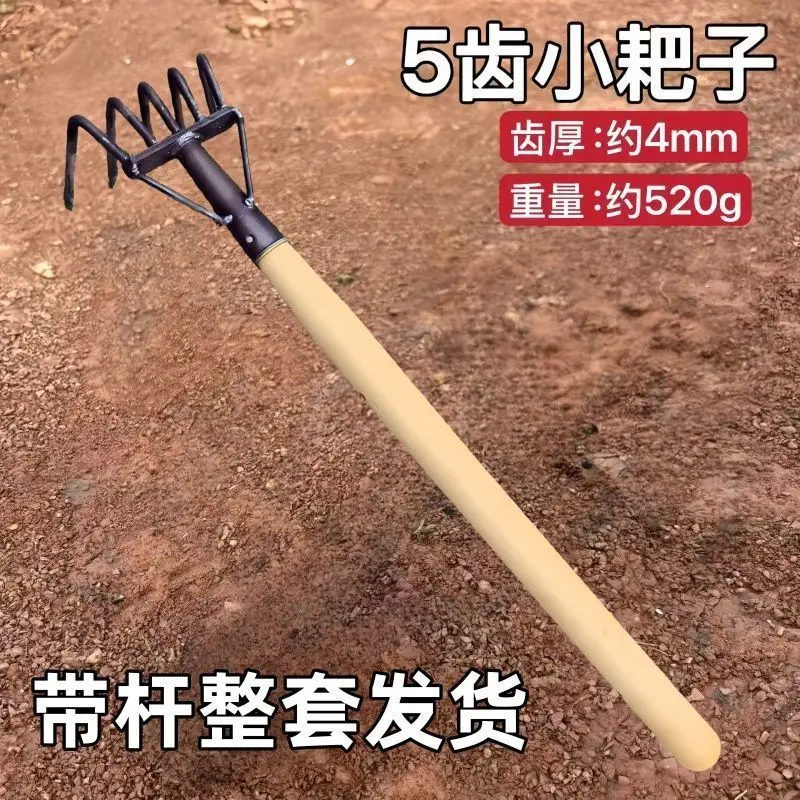 

Five Tooth Four Tooth Steel Beach Rake for Digging Clams Picking up Peanuts with 50cm Wooden Pole
