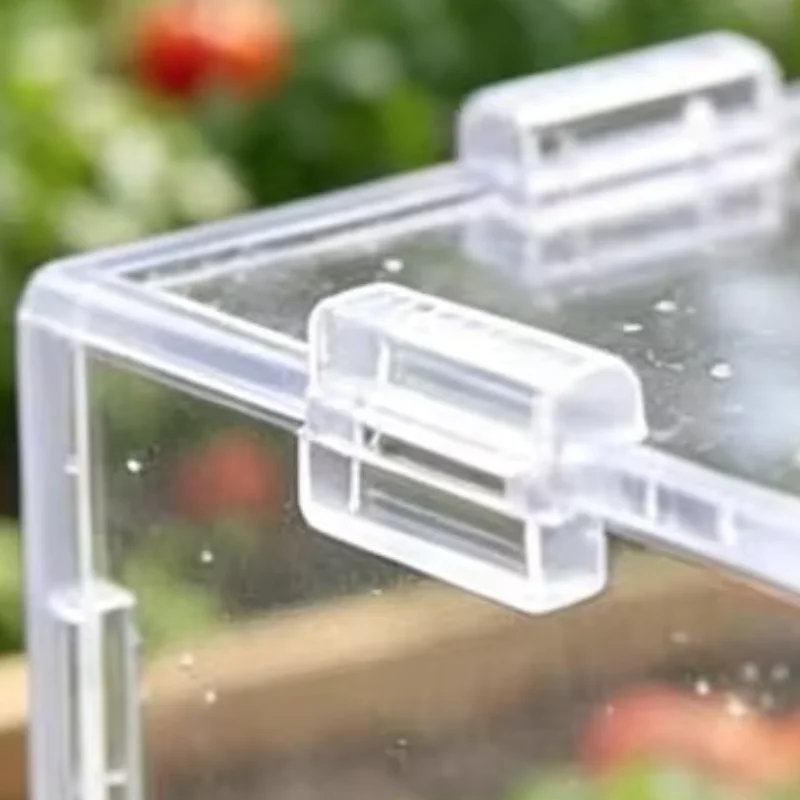 Unique Shape Fruit Growing Mold Cubic Fruits Transparent Mold Reusable Vegetable Fruit Growing Mold for Tomato Strawberry
