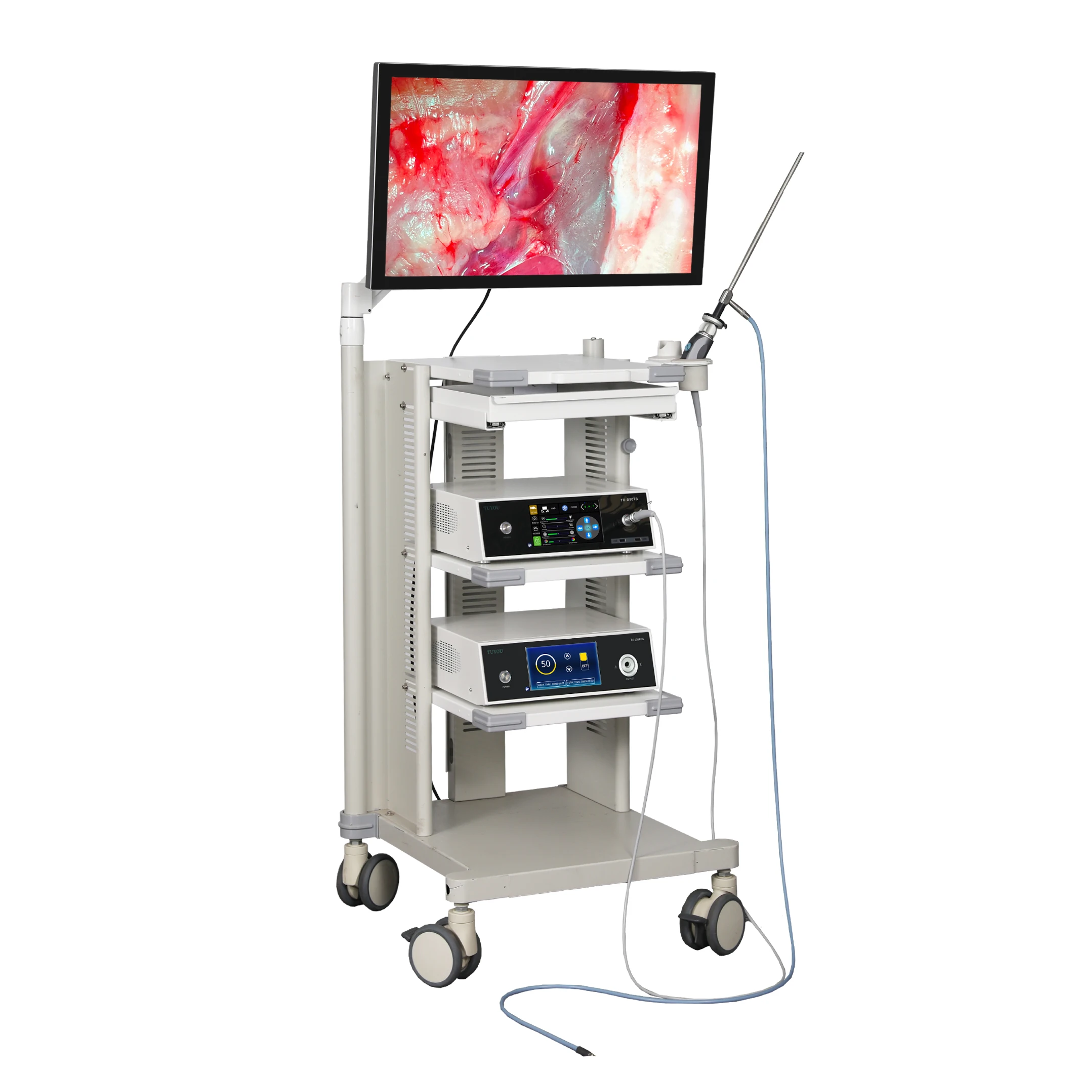 1080P Touchscreen Endoscopy Camera System, Split-Type Design with Cold Light Source, Recording Function