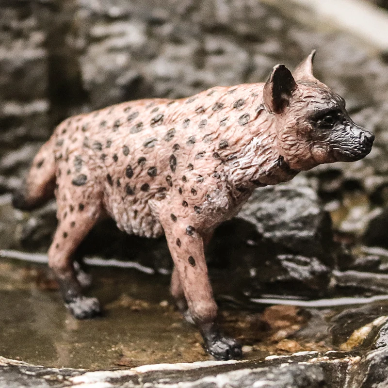 Oenux Klassische Wilde Afrikanische Tiere Simulation Tiger Hyaenidae Action Figur Figuren PVC Modell Bildung Schule Kind Spielzeug – Detail 14