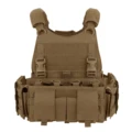 Coyote Brown