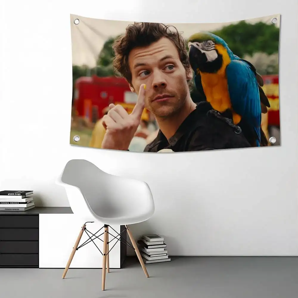 Famous Pop Singer Harry Styles Cartoon Art Print Flag Suitable For Party Club Outdoor Interior Wall Decoration Banner Fans Gift