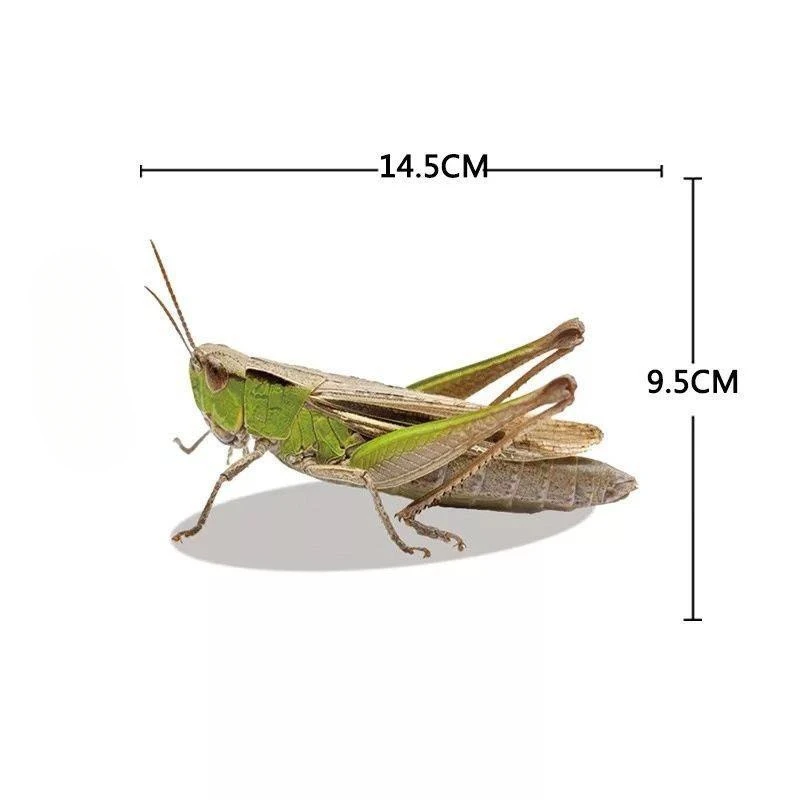 3d Künstliche Insekten Motorrad Aufkleber Front Gugel Kraftstoff Tank Seite Verkleidungen Dekoration Vinyl Aufkleber Tier Motor Zubehör