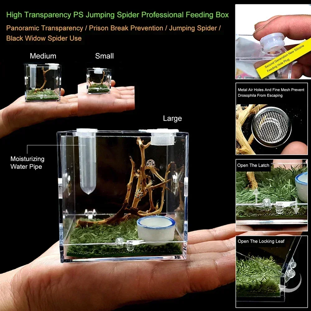 Small Reptile Feeding Box 3