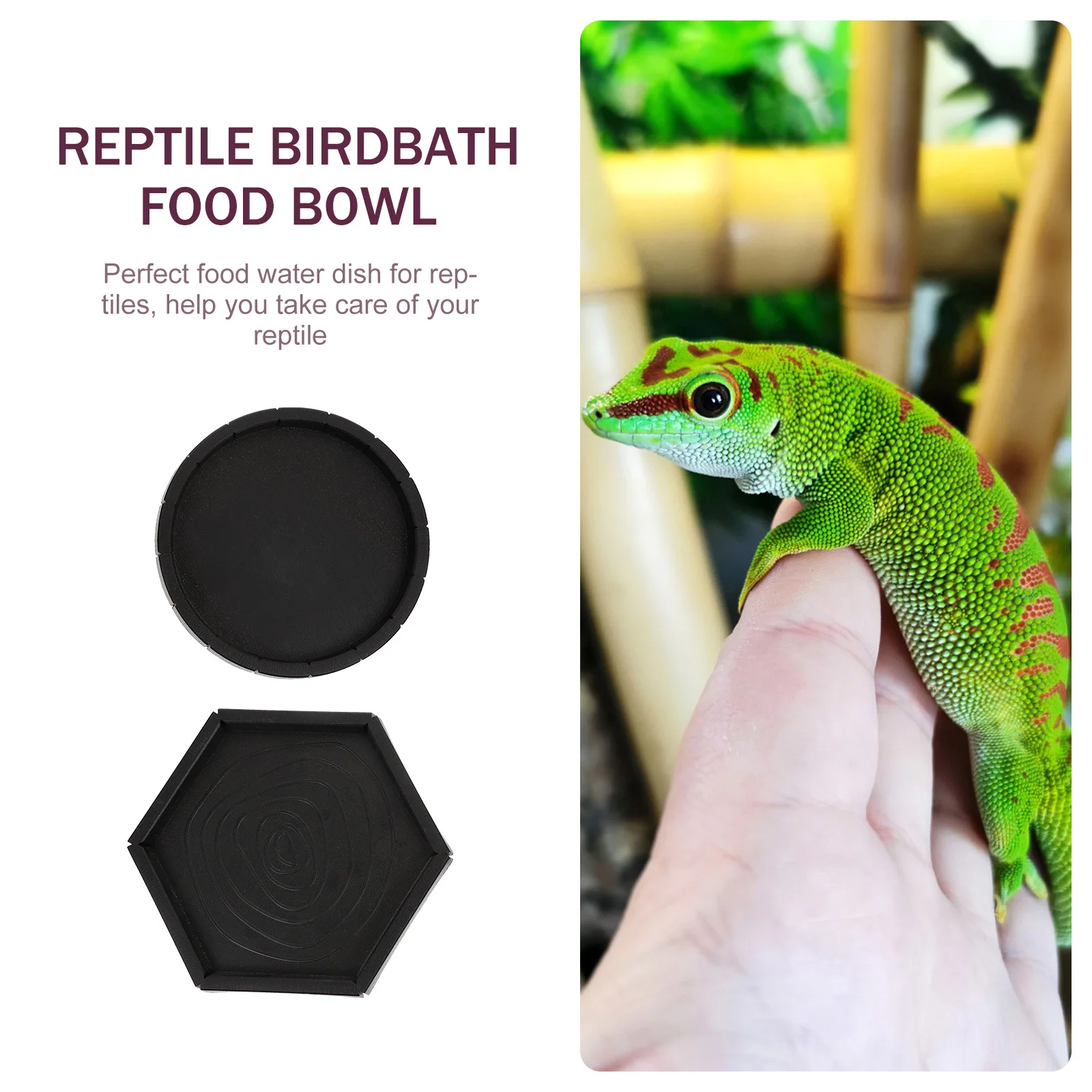 

2Pcs Reptile Feeder High Temperature Resistant Smooth Interior Lizard Feeding Tool Safe Food Water Container Reptile Food Basin
