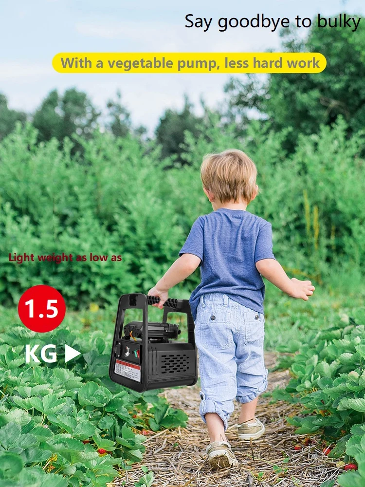 12V Outdoor Household Portable Vegetable Watering Pump Rechargeable Lithium Battery Small Agricultural Water Suction Sprayer