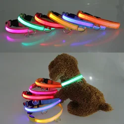 LED Dog Anti-lost Collar Pet Collar Glowing Luminous LED Night Light For Small Medium Large Dogs Collars Leads Safety Necklace