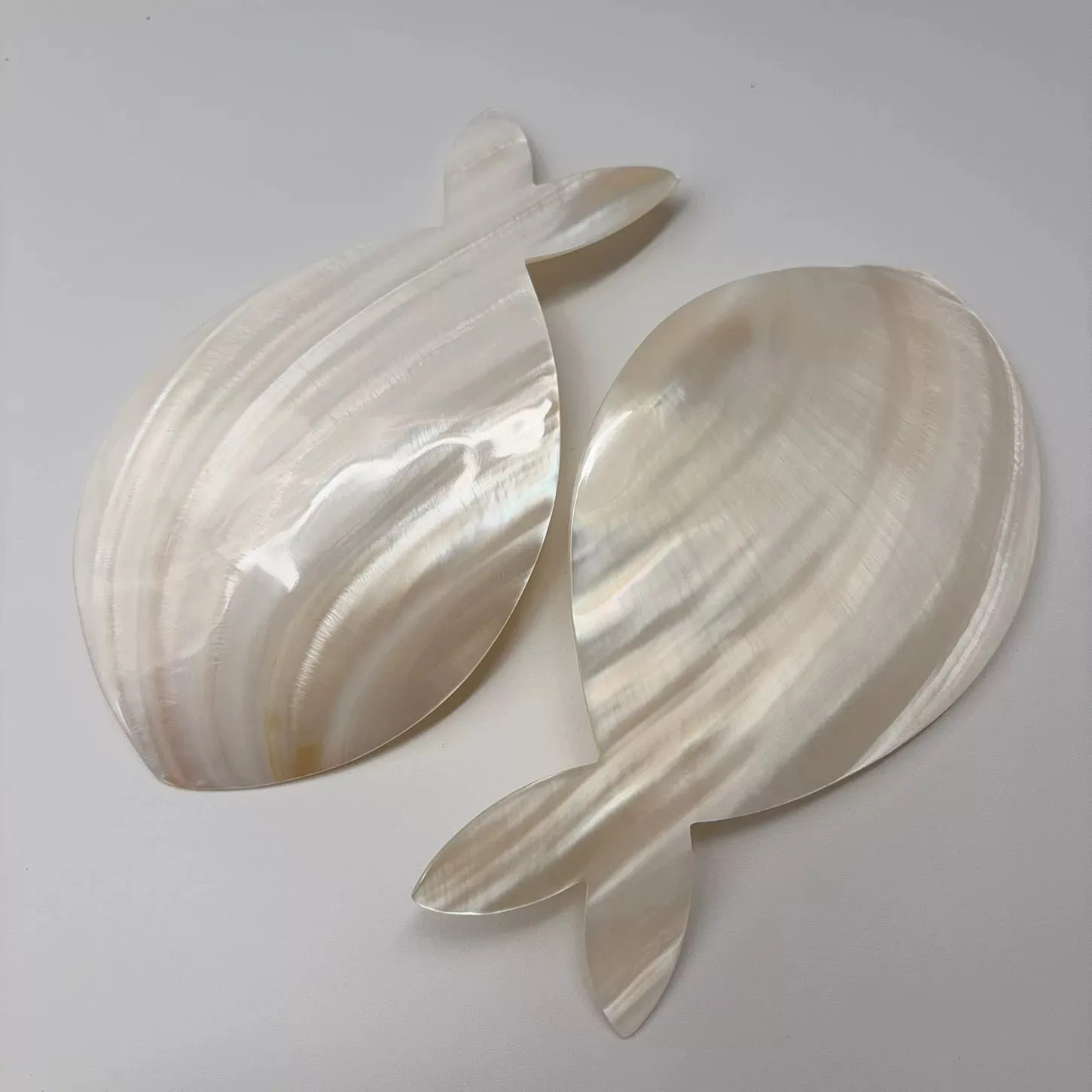 Fish Shaped Natural Shell Plate, Scallop & Conch Yellow Mother of Pearl Dish, Caviar Plate, Dessert Snack Plate, Seasoning Dippi