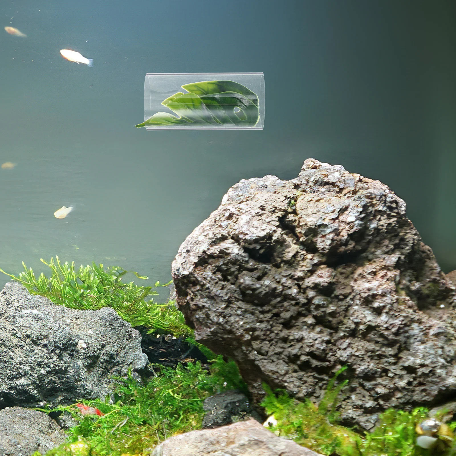 

Betta Fish Clear Tunnel Multifunctional Design Resting Breeding Hiding Spot Aquarium Shrimp Hideout Easy Maintenance Durable