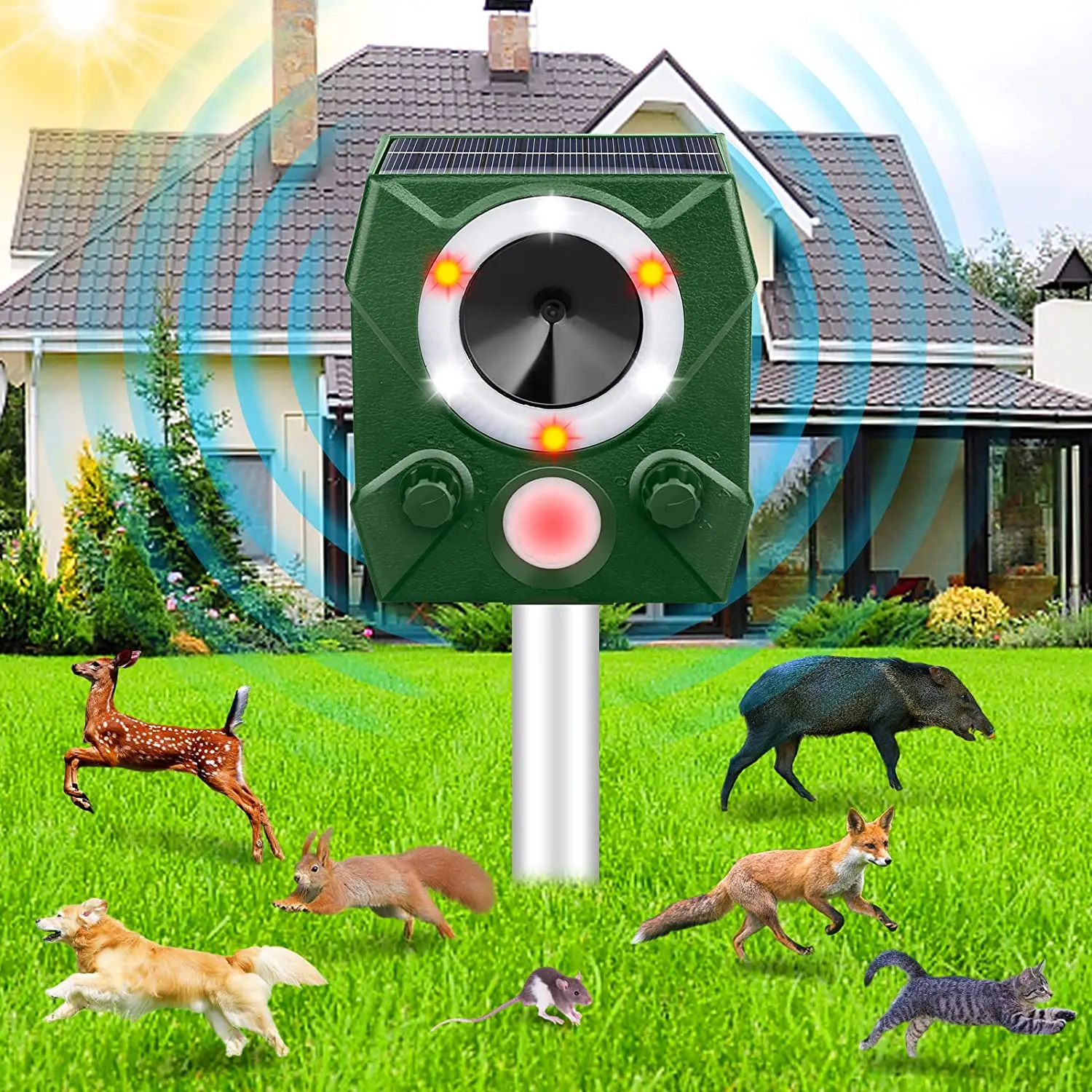 Ultraschall-Tierabwehrgerät für Mäuse/Vögel...USB/Solar-Aufladung 5-Stufen Einstellbare LED-Blitzlicht-Alarmierung zur Abwehr