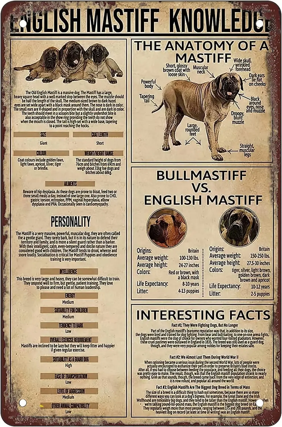 Retro Funny Metal Sheet Signs Mastiff Dog Knowledge The Anatomy Of A Mastiff, Wall Decoration, size:8 x 12 sign sign sign