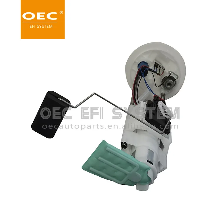 

Lightning Shipping Cross-border Fuel Pump 0580313186 Suitable For Ford Fuel Pump Assembly
