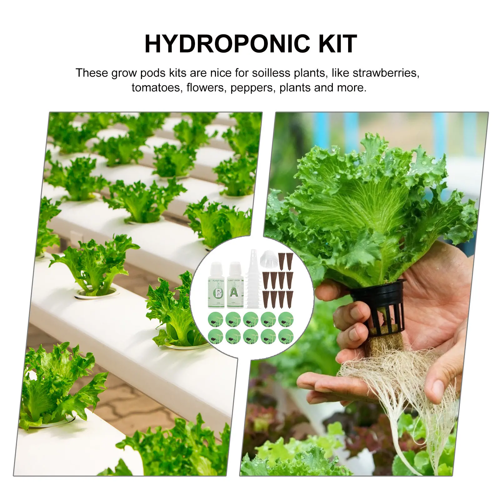 

Набор для гидропоники: 1 комплект гидропонных корзин для выращивания растений, многоразовые стаканчики, прозрачные изоляционные крышки, система с губкой для семян для выращивания растений без почвы в помещении