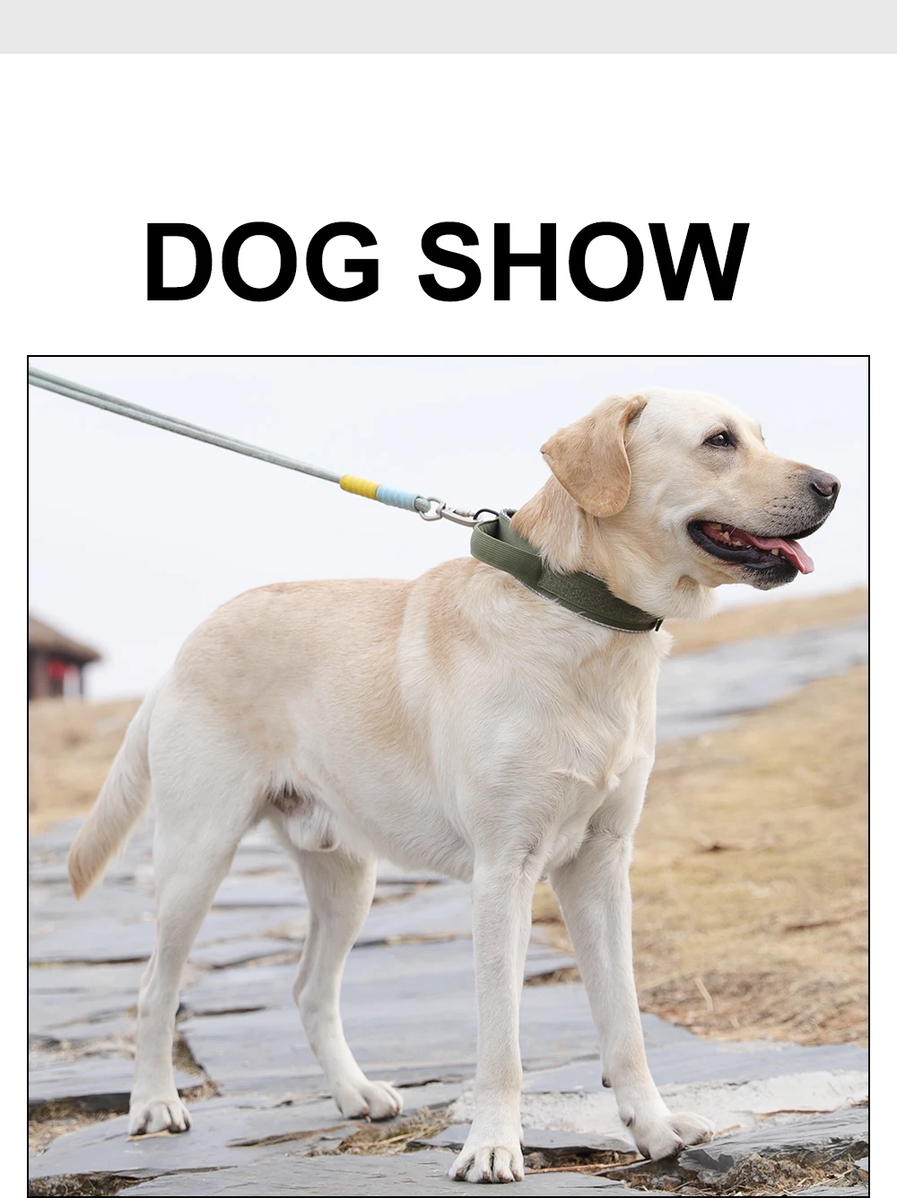Taktisches Hundehalsband, verstellbares Hundehalsband für mittelgroße und große Hunde, Golden Retriever-Halsband mit Kontrollgriff, hochwertige Schnalle. – Detail 14