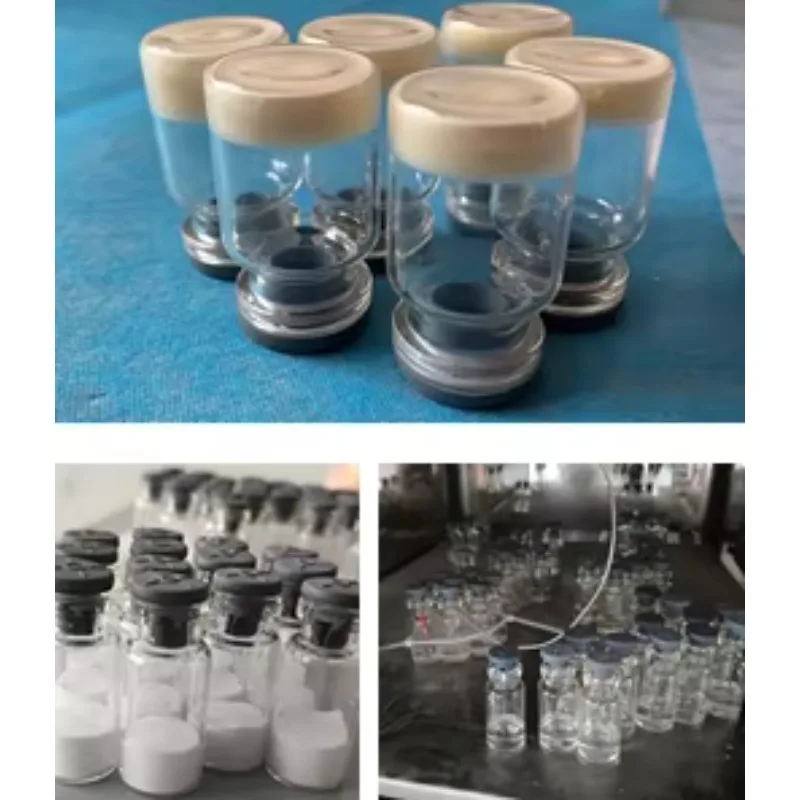 Small Lyophilizer Vacuum Freeze Dryer For Laboratory Penicillin Bottle Home Freeze Dryer