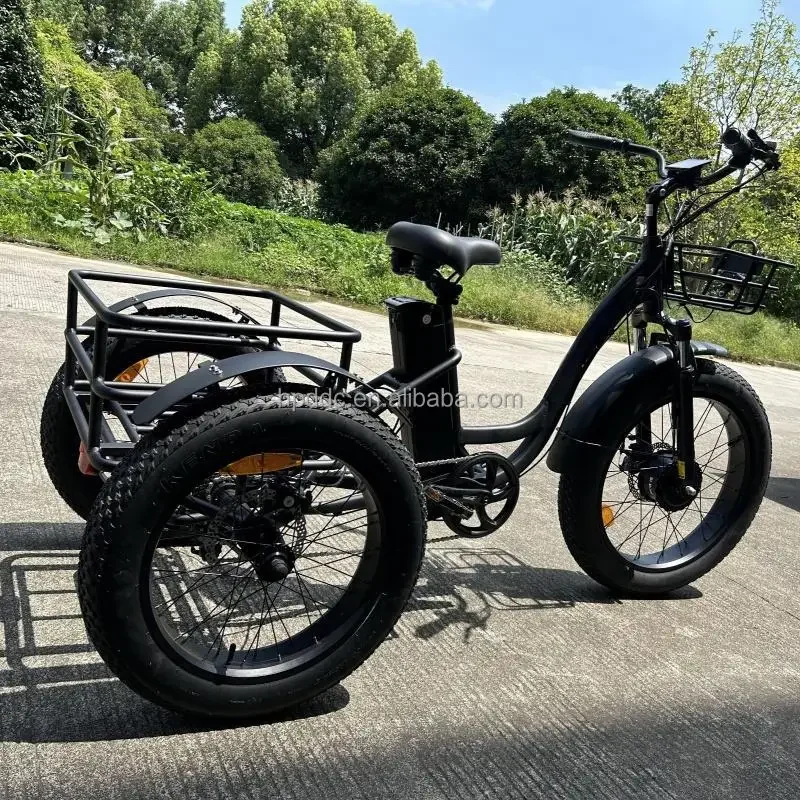 Hot Sell Durable 3-Wheel Front Motor E-Bike 2025 New 45KM/H Fast Affordable for Delivery Business EU Warehouse
