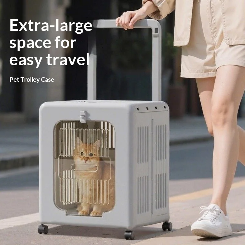 Transportín plegable para gatos y perros, mochila desmontable