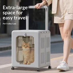 Transportín plegable para gatos y perros, mochila desmontable