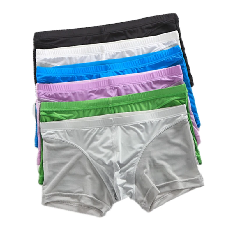 6PCS Men Underwear Mesh Transparent Boxers Polyester Breathable Underpants Cueca Boxershorts Hombre Sexy Shorts Panties Trunks