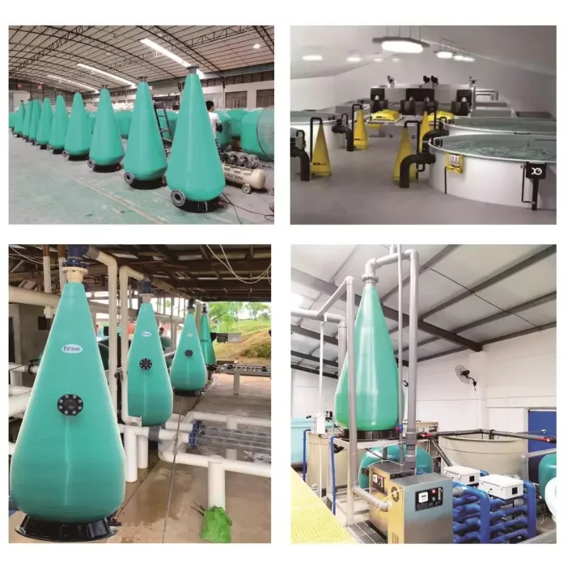 

High Efficiency Indoor Recirculating Fish Farm Aquaculture High Dissolved Oxygen Increasing Cone