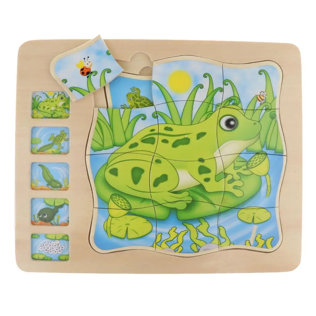 

Frog Puzzle Layer Puzzle Montessori Wooden Toy for Children And Toddlers