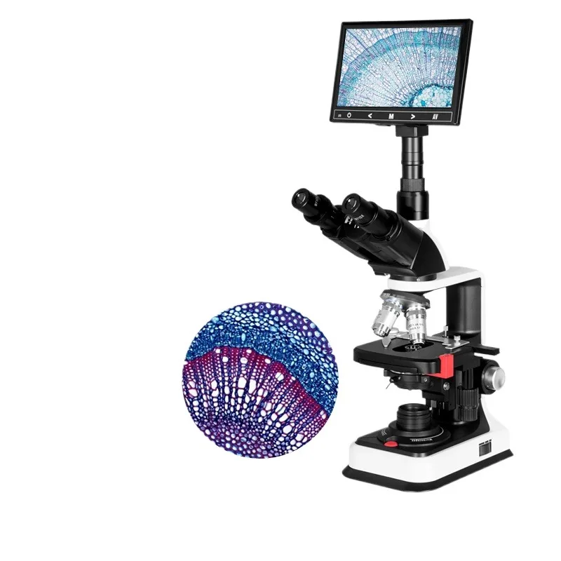 Professional Trinocular Digital Teaching Microscope HD Laboratory Biological Zoom Scope for Livestock Breeding Aquaculture Mite