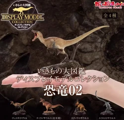 Japanese Genuine Gacha Scale Model Biological Cognitive Model Dinosaur Tabletop Decoration Action Figure Toys