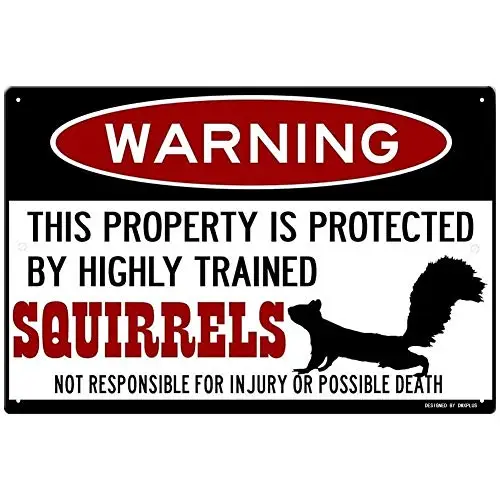 Kexle Squirrel Sign,Funny Metal Signs,Protected by Squirrels,Squirrels Warning Sign,Pet Squirrel,Beware of Squirrel Sign Tin Sig