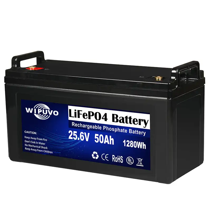 Portable LiFePO4 24V 50Ah 1280Wh With BMS 25.6V LiFePO4 Battery Pack Lithium Battery