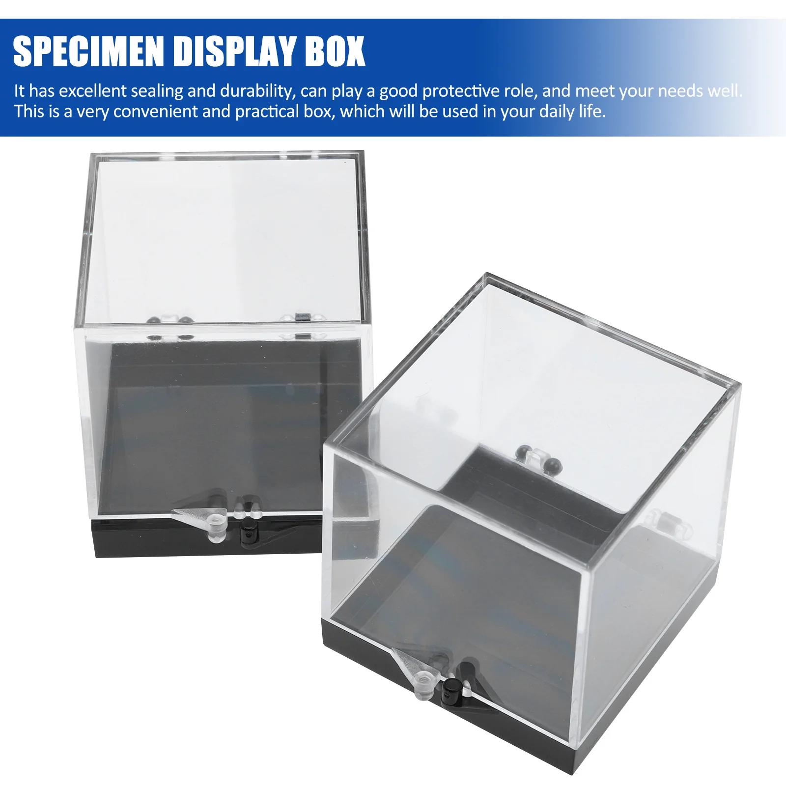 8Pcs Transparent Specimen Storage Box Plastic Square Durable Mineral Sample Display Container Organizing Case Specimen Box