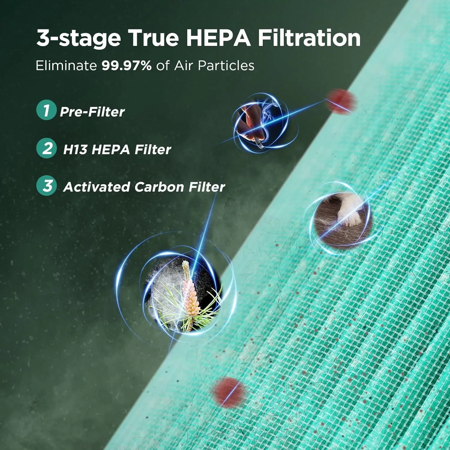 Air Purifiers For H…