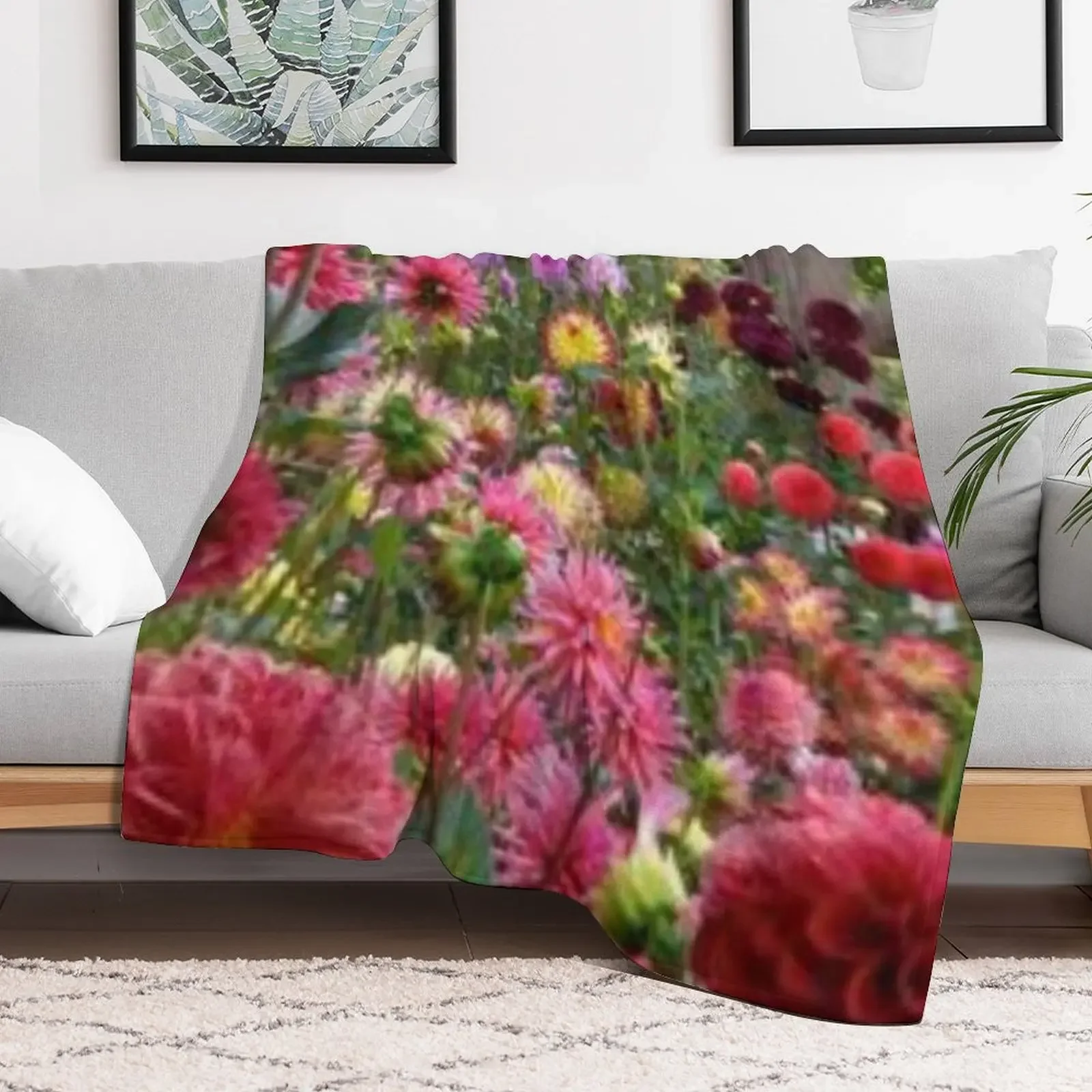 Nice dahlia flowers. Throw Blanket Soft funny gift Beautifuls Hairy Blankets