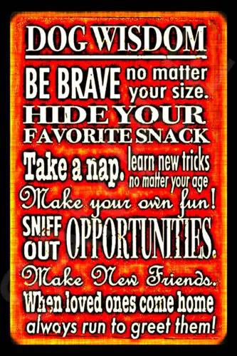 *DOG WISDOM* MADE IN USA METAL SIGN 8X12 FUNNY BAR ADVICE MAN CAVE HOUSE TREAT